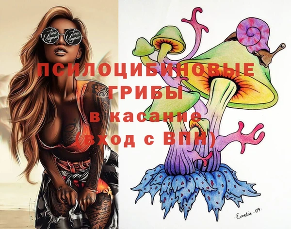 стаф Алексеевка